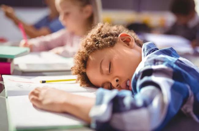 A child sleeping in class.