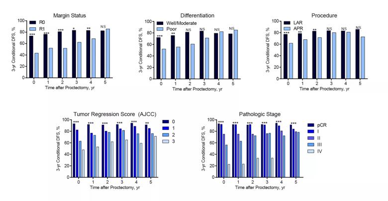 Conditional 3-year disease-free survival stratified by different prognostic factors.