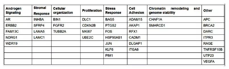 805x-Inset-2
