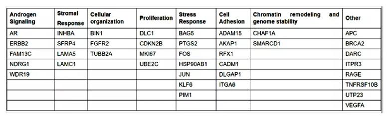 805x-Inset-2