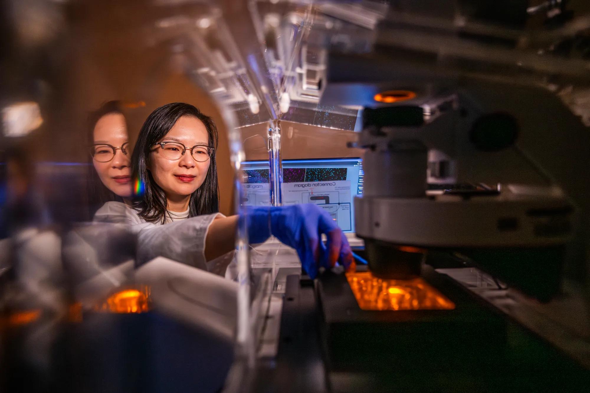 Researcher in a lab operates advanced imaging equipment while viewing data on a computer screen.