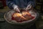 Preparing the donor organs for transplantation.