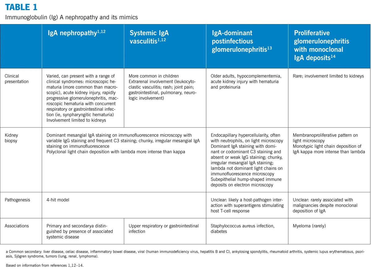 Immunoglobulin (Ig) A nephropathy and its mimics