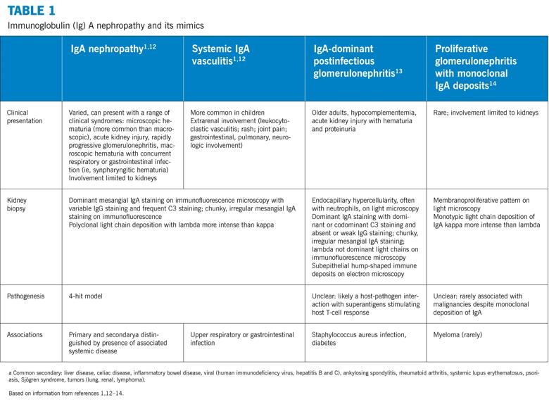 Immunoglobulin (Ig) A nephropathy and its mimics