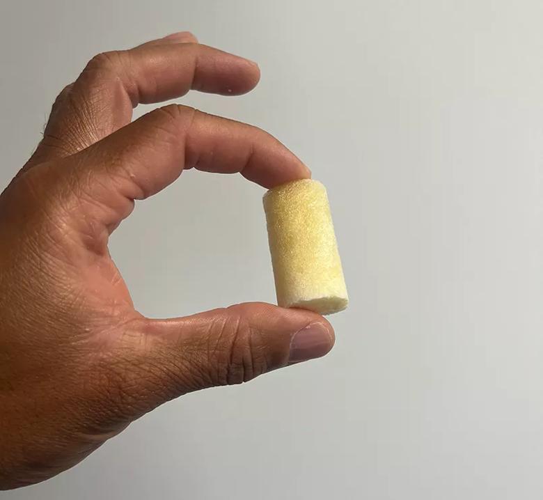 The BEAR implant