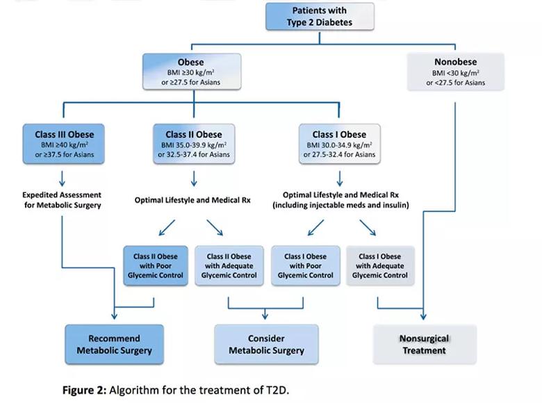 Figure 2: Algorithm for the treatment of T2D.