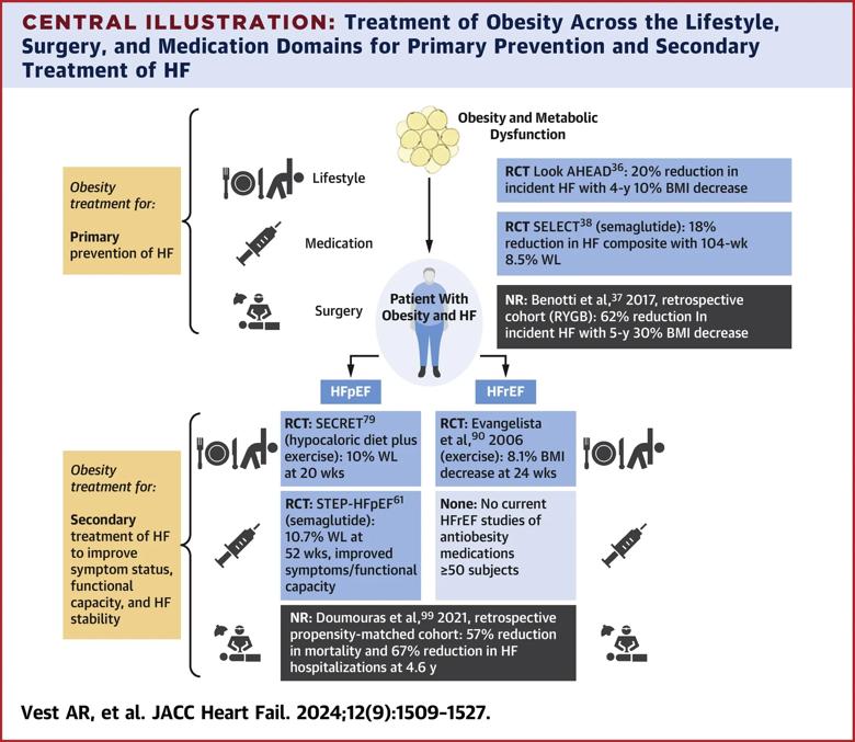 infographic on obesity treatment in heart failure