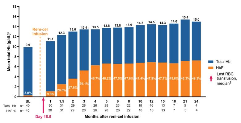 Graph of percentage of fetal hemoglobin after reni-cel infusion
