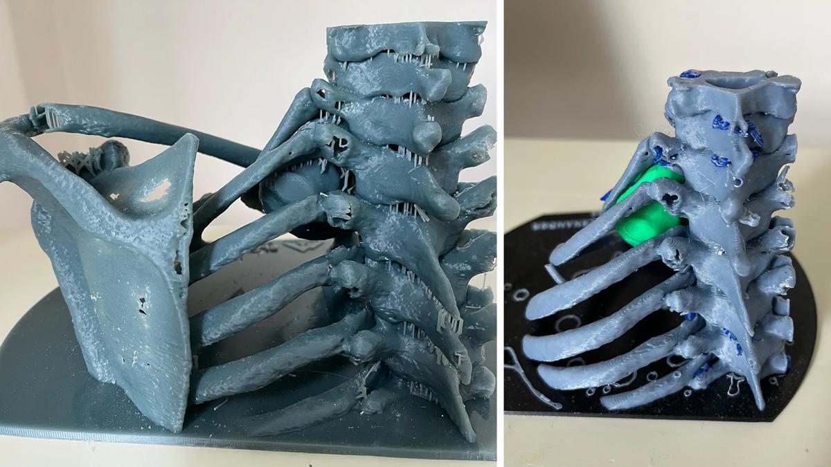 3D models