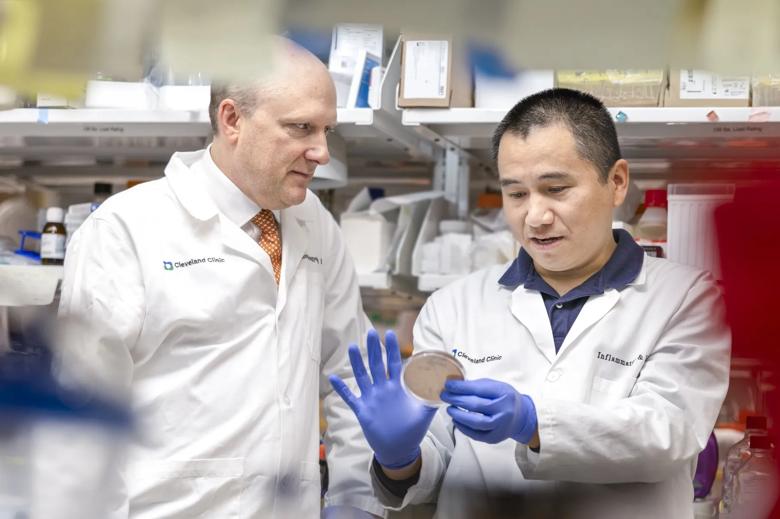 Thaddeus Stappenbeck, M.D., Ph.D., (left) and Qiuhe Lu, Ph.D., in the lab.