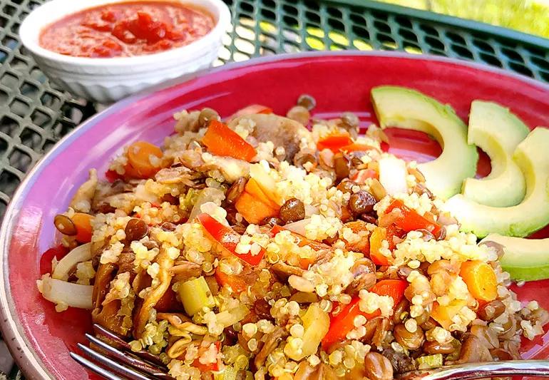 Quinoa, lentils and vegetables on a plate with avocado