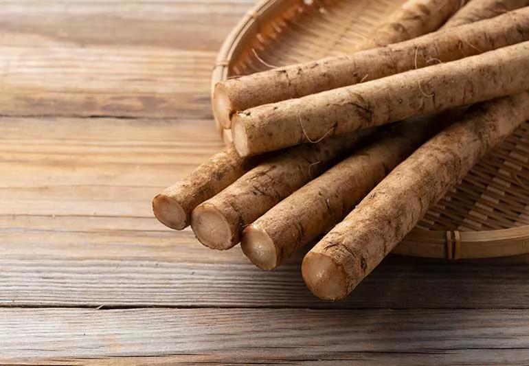 Benefits of Burdock Root