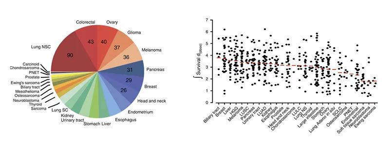 Researchers Identify Genetic Basis for Cancer Cells’ Susceptibility to DNA Damage