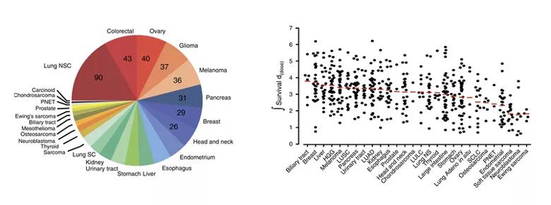 Researchers Identify Genetic Basis for Cancer Cells’ Susceptibility to DNA Damage