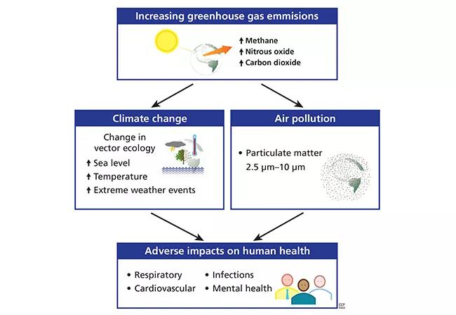 Flow chart displaying increase of greenhouse gas emissions  