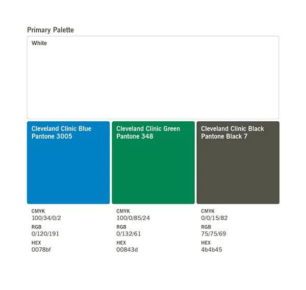 Primary color palette