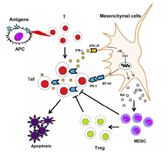 MMICschematic_inset