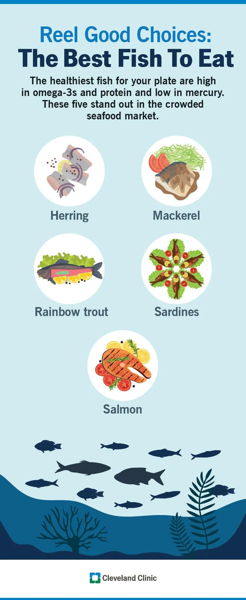 Five best fish choices, including salmon, sardines and rainbow trout