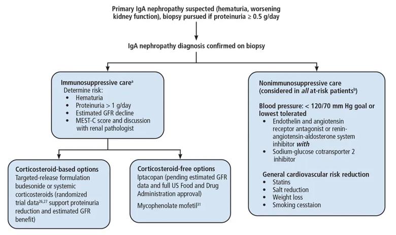 Figure showing primary IgA nephropathy information