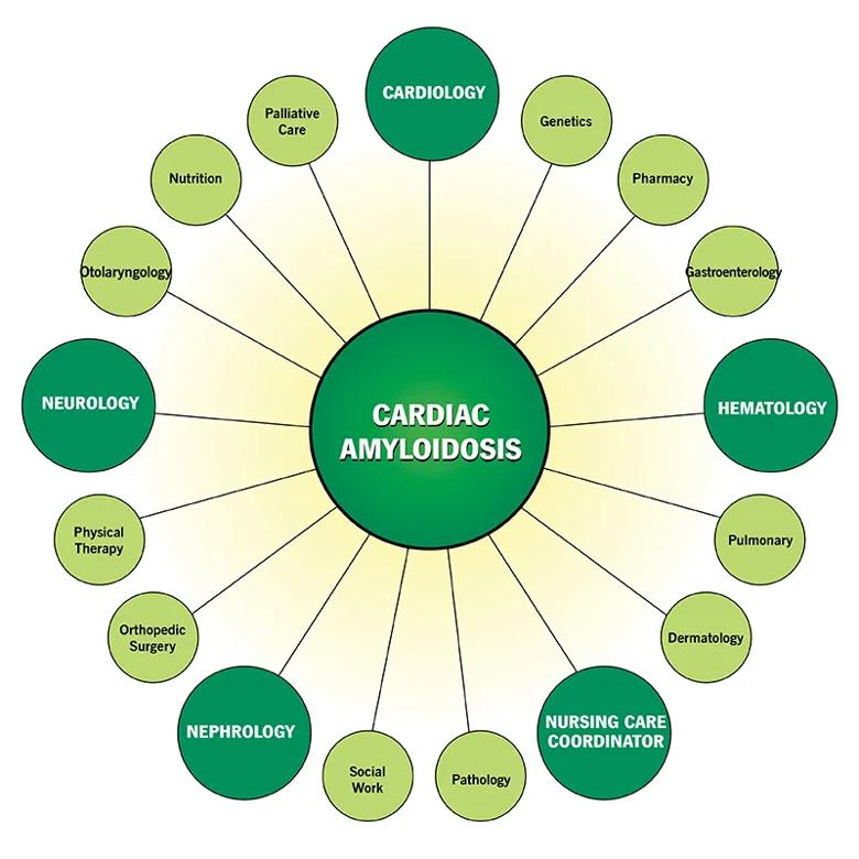 Multidisciplinary care for AL amyloidosis