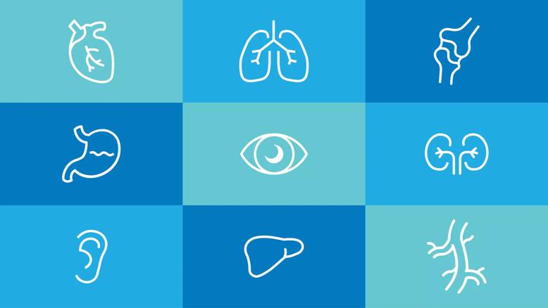 Grid of body organs and tissues for organ donation