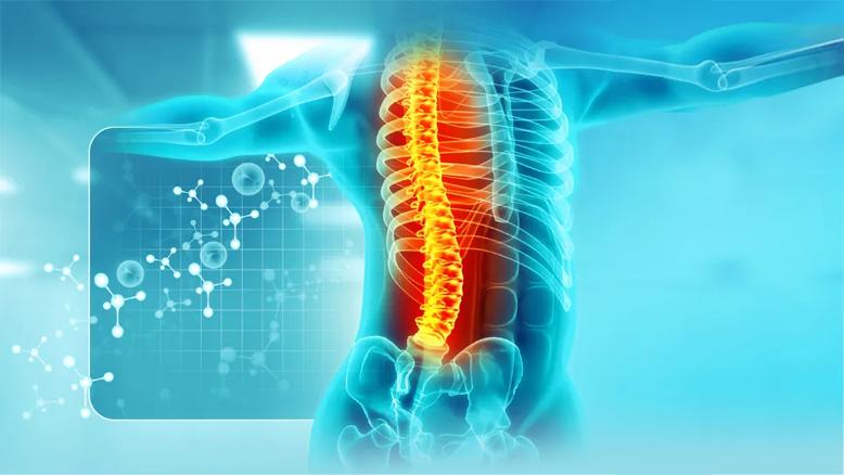 stylized illustration of human spine against high-tech decorative background
