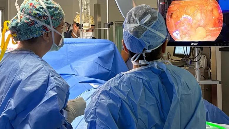 Endoscopic nipple-sparing mastectomy