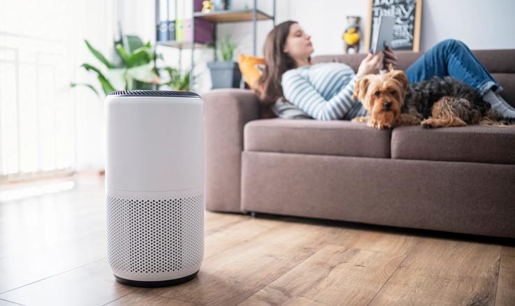 Person and their dog lying on the couch, with air purifier running