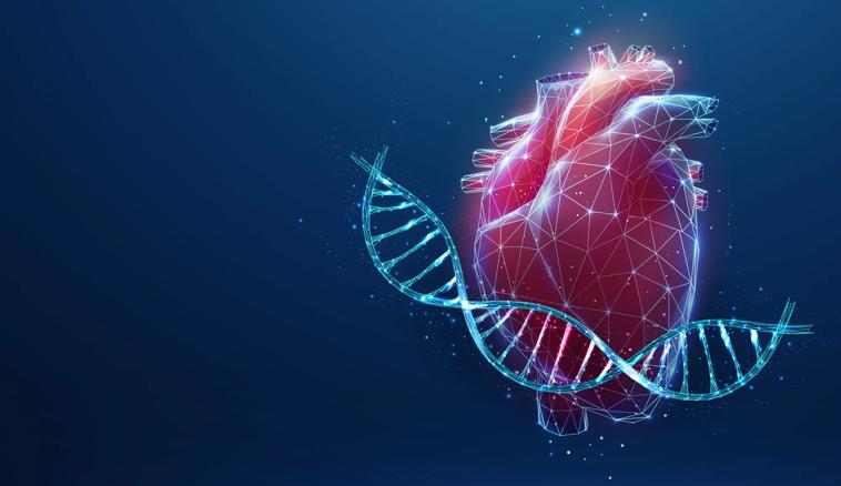 Illustration of genetics and heart