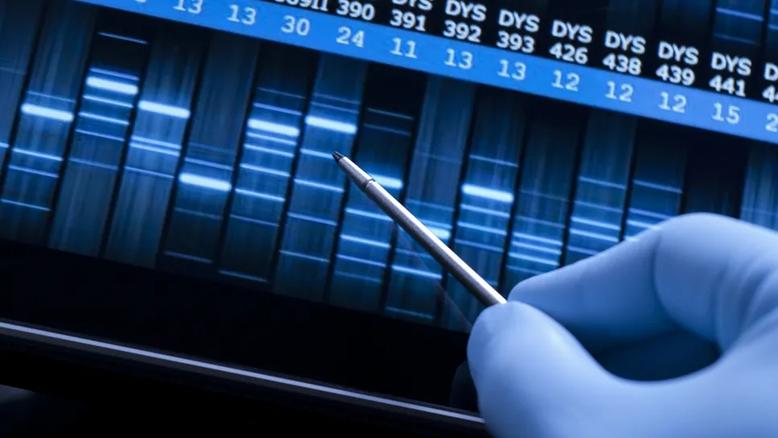 DNA test