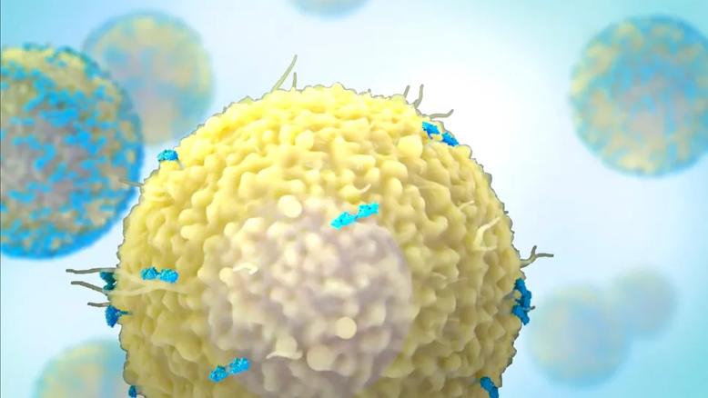 floating CAR T cell against background of other cells