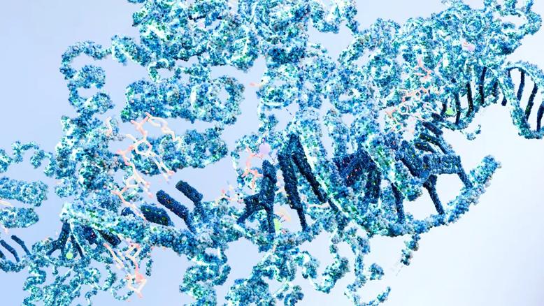 T53 mutation illustration