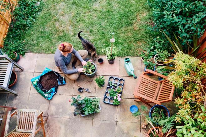 Person sitting outside on patio, prepping their garden, planting flowers, with their cat