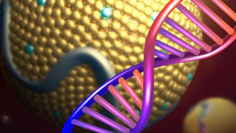 LDL cholesterol particle with a DNA double helix on top of it