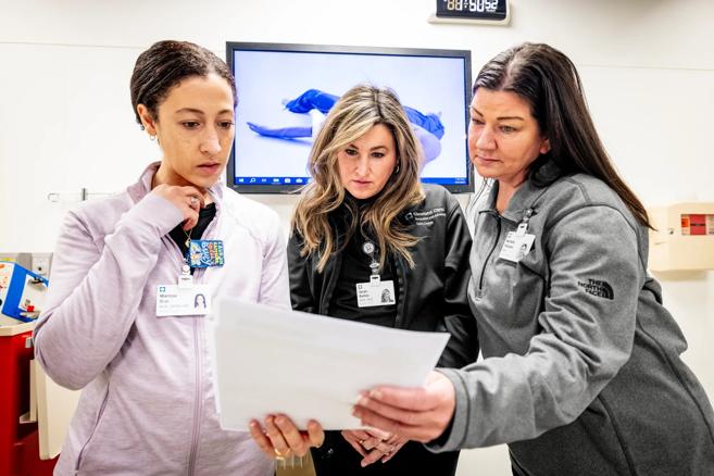 Nurse researchers