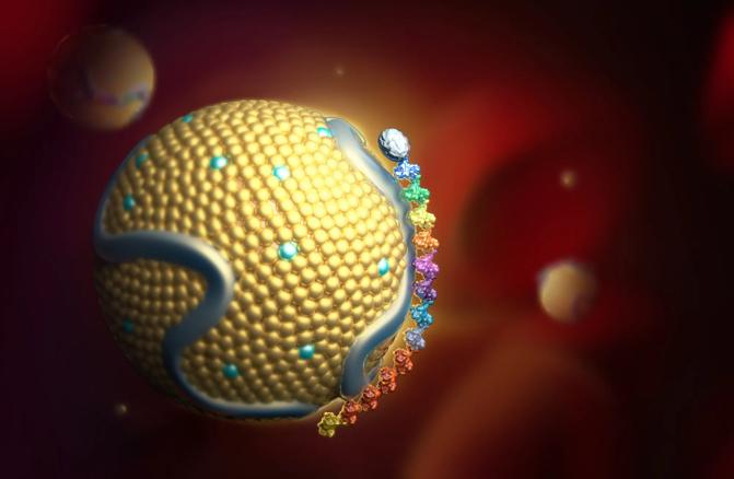 Medical illustration of Lipoprotein(a)