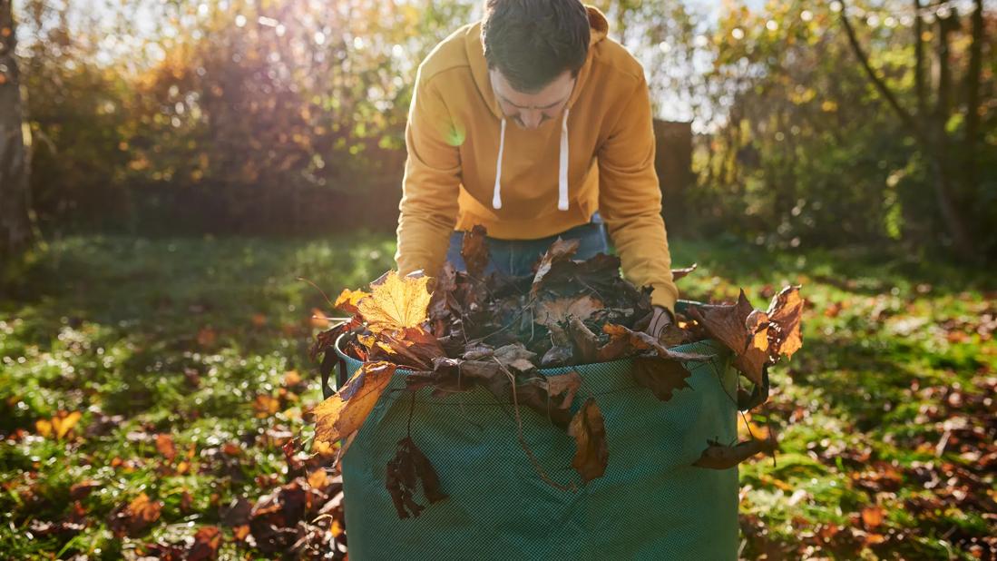 Person doing yardwork, stuffing leaves into a sack