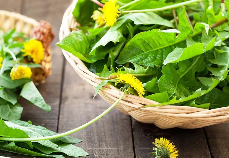 dandelion salad