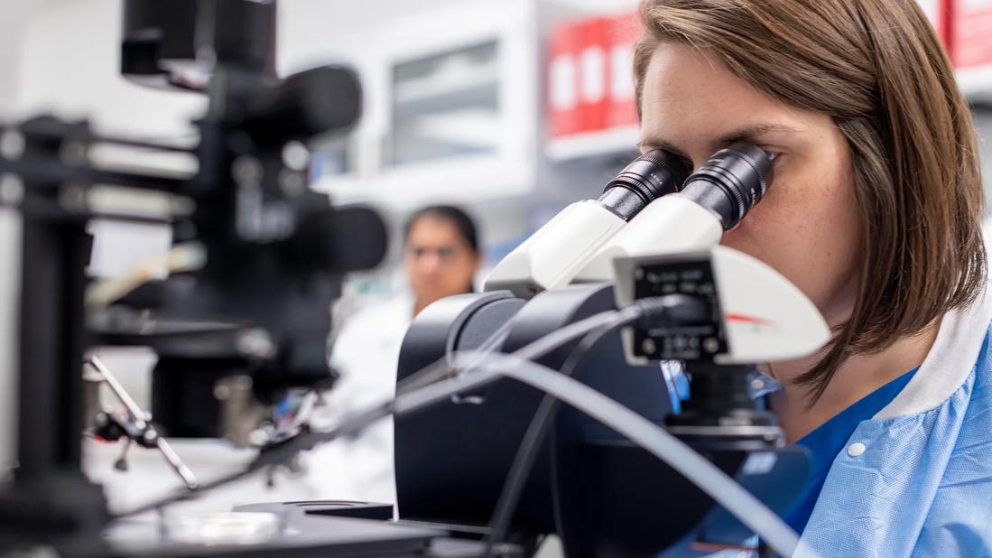 Andrology lab