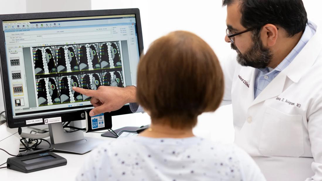 Physician speaking with patient by computer