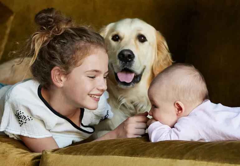 Older sister with baby and family dog