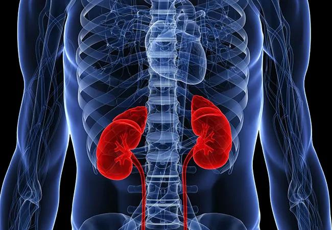 650&#215;450-Kidneys-GettyImages-103458867_New Header_17-URL-676