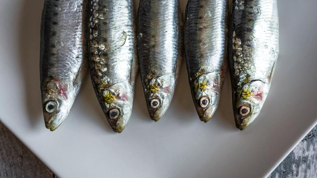 Five sardines lined up on a plate