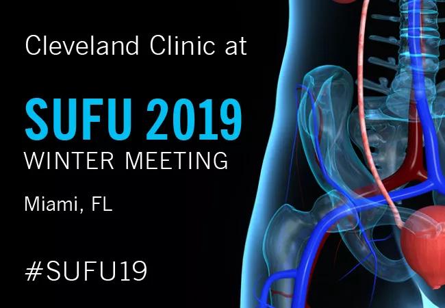 19-URL-658 SUFU 2019 Winter Meeting Graphic FINAL