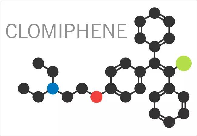 18-CNR-END-mullClomiphene-650&#215;450 (002)