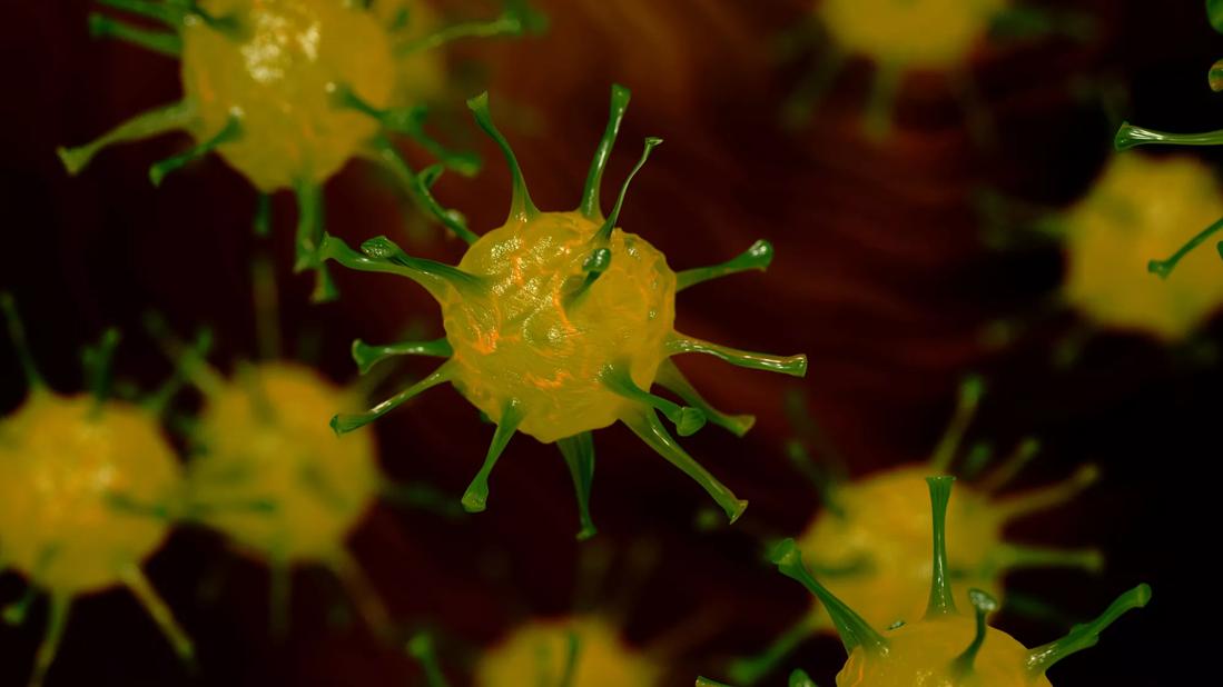 Flu virus