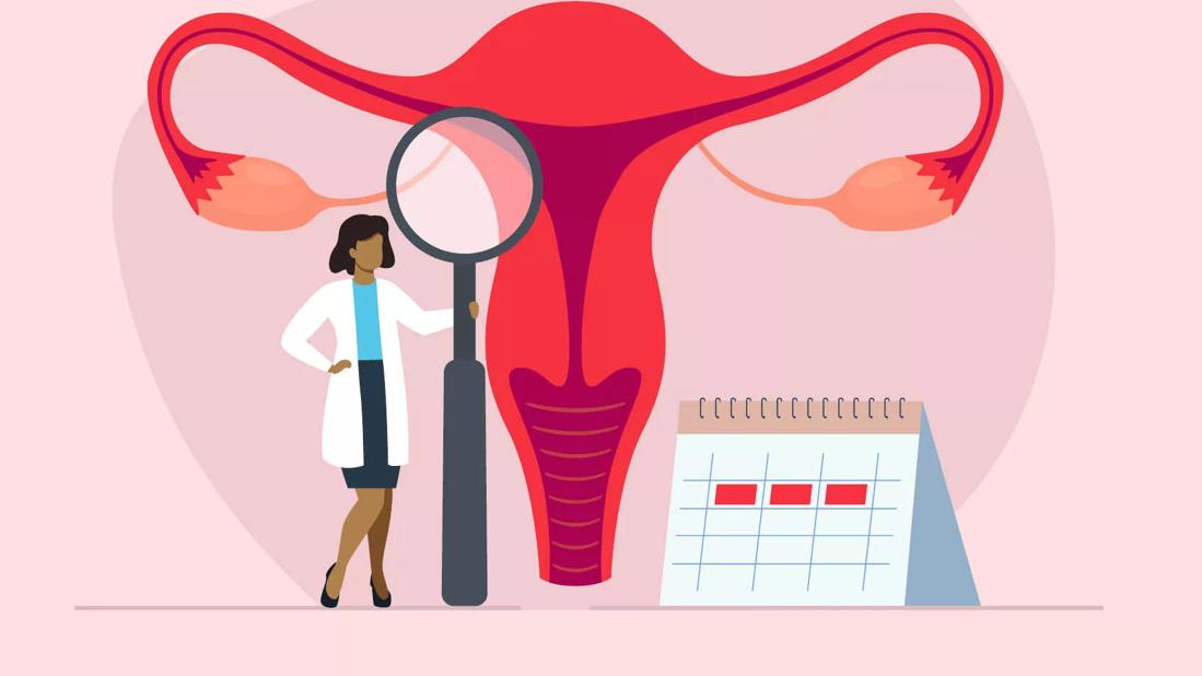 Concept of menstruation period, pregnancy or menopause Stock Vector