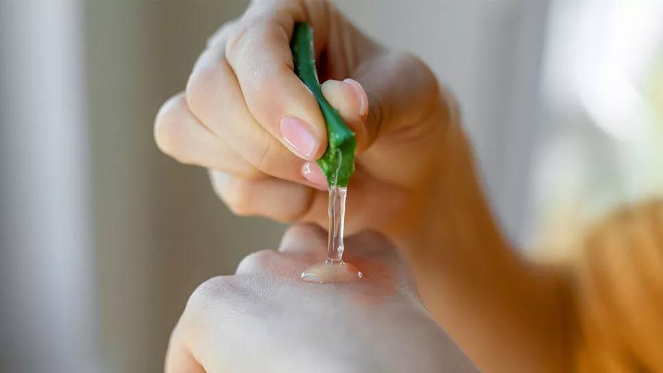 Applying aloe vera to irritated skin