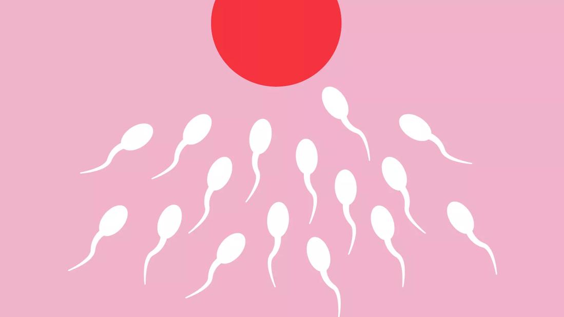 Sperm headed to egg.