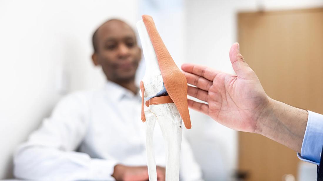 Knee model